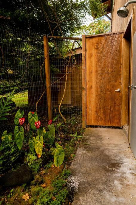 Jungle Haven Ocean Front Eco Villa On Fruit Farm Pahoa Экстерьер фото