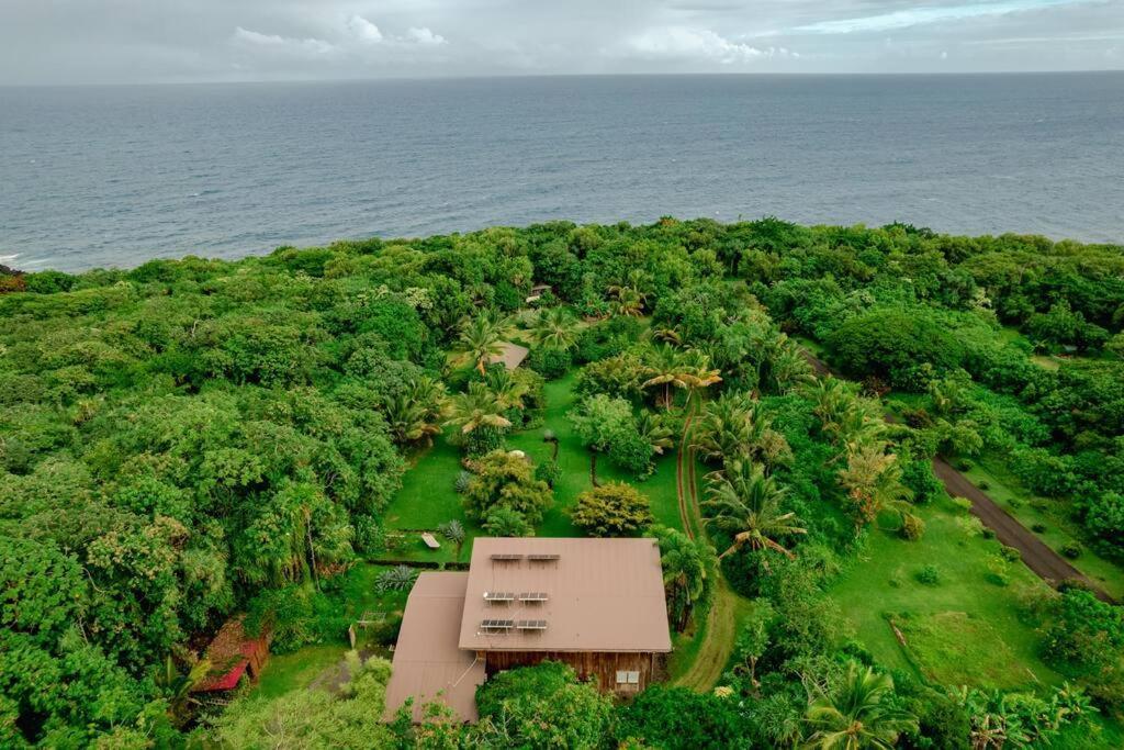 Jungle Haven Ocean Front Eco Villa On Fruit Farm Pahoa Экстерьер фото