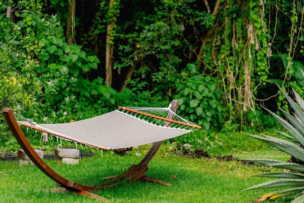 Jungle Haven Ocean Front Eco Villa On Fruit Farm Pahoa Экстерьер фото