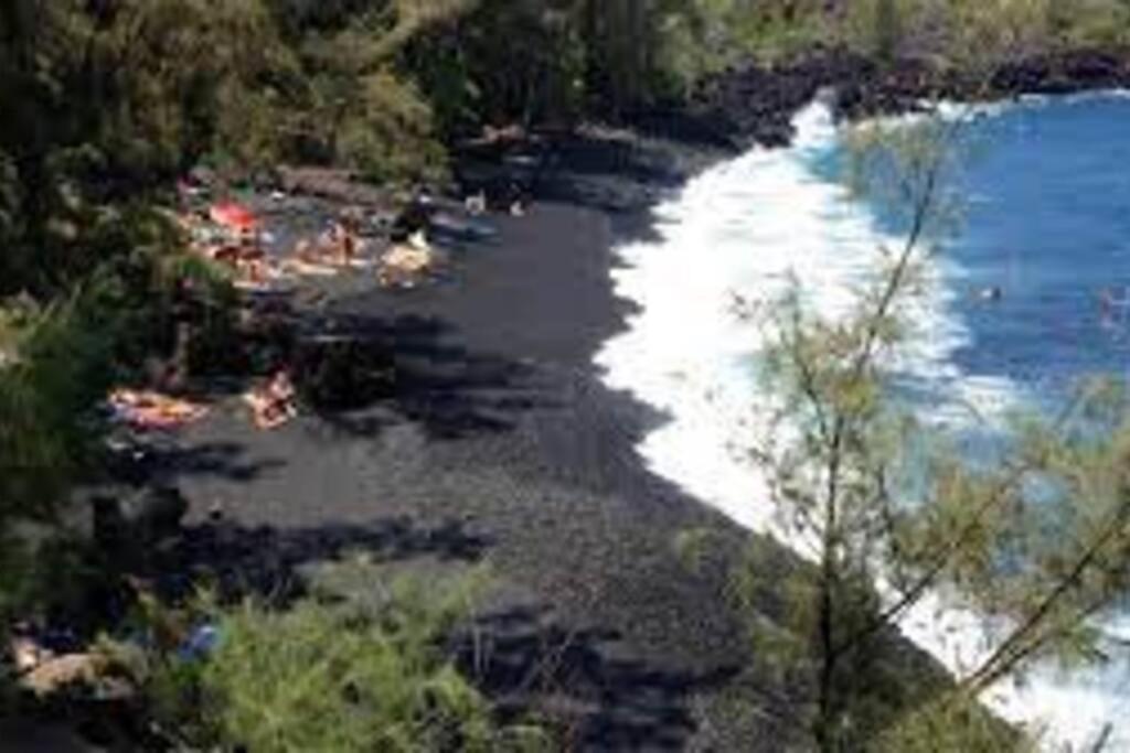 Jungle Haven Ocean Front Eco Villa On Fruit Farm Pahoa Экстерьер фото