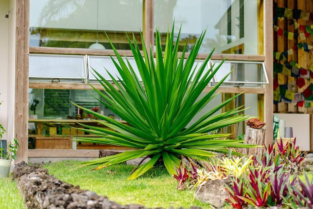 Jungle Haven Ocean Front Eco Villa On Fruit Farm Pahoa Экстерьер фото