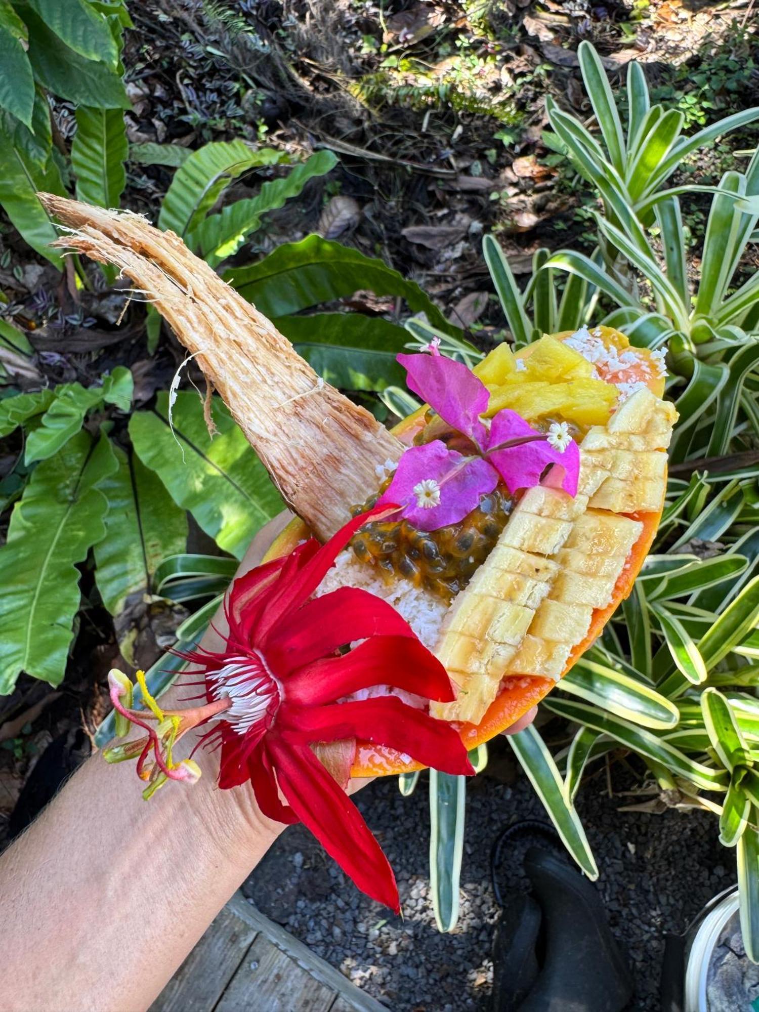 Jungle Haven Ocean Front Eco Villa On Fruit Farm Pahoa Экстерьер фото