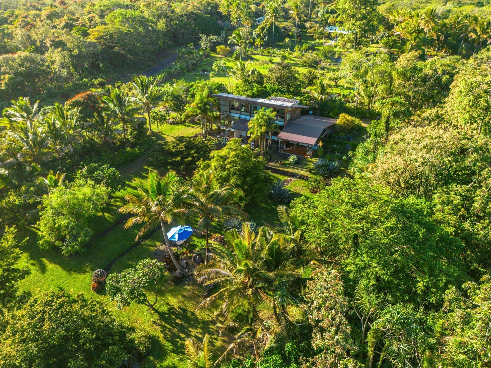 Jungle Haven Ocean Front Eco Villa On Fruit Farm Pahoa Экстерьер фото