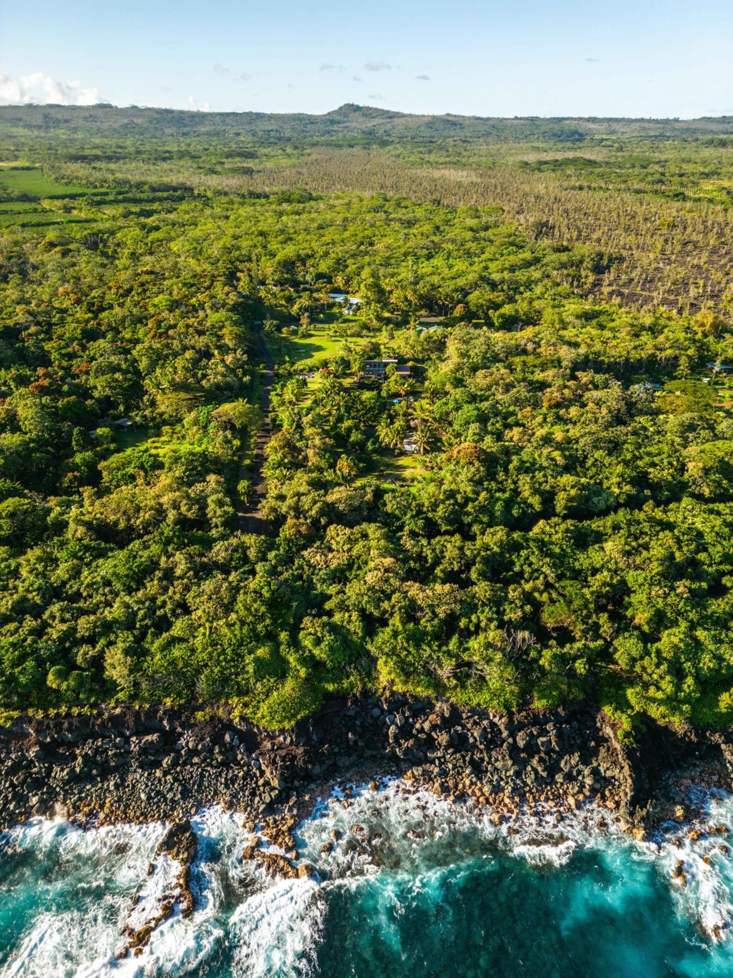 Jungle Haven Ocean Front Eco Villa On Fruit Farm Pahoa Экстерьер фото