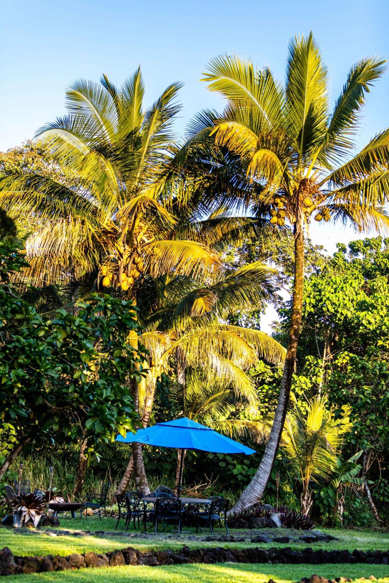 Jungle Haven Ocean Front Eco Villa On Fruit Farm Pahoa Экстерьер фото