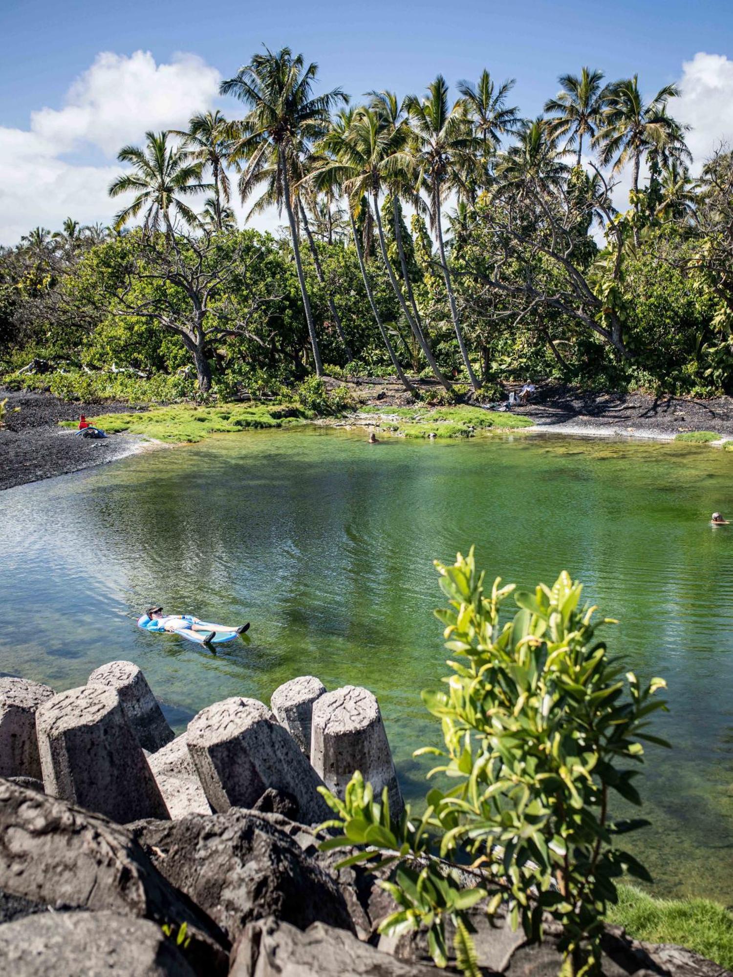 Jungle Haven Ocean Front Eco Villa On Fruit Farm Pahoa Экстерьер фото