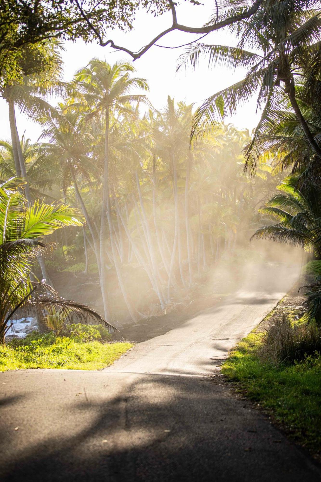 Jungle Haven Ocean Front Eco Villa On Fruit Farm Pahoa Экстерьер фото